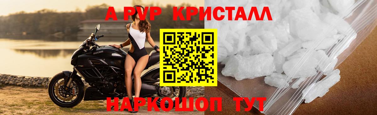 Альфа ПВП СК КРИС  Вход с VPN  Гатчина  A PVP  Альфа ПВП СК 