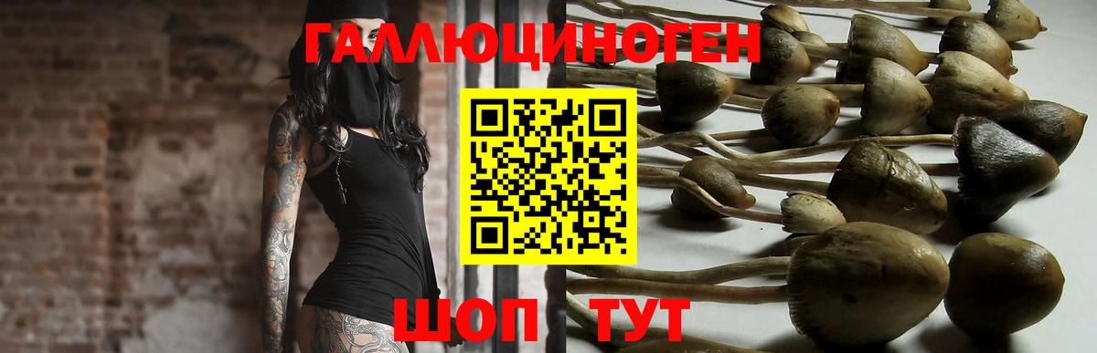 Галлюциногенные грибы мицелий  Вход с VPN  Псилоцибиновые грибы мухоморы  Гатчина 