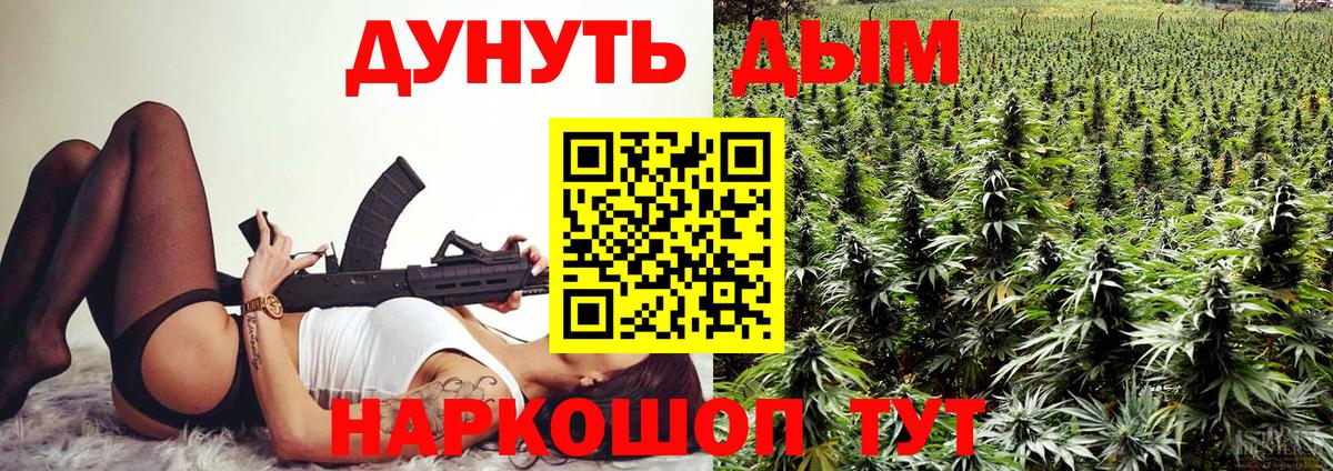 Гатчина  Канабис OG Kush  Вход с VPN  Канабис SATIVA & INDICA 